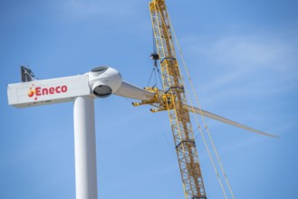 Wind farm under construction, on the Maasvlakte, the harbour of Rotterdam, over 20 wind turbines