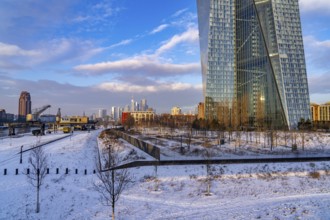 The skyline of Frankfurt am Main, skyscrapers of the banking district, building of the European