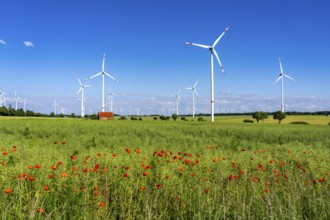 Wind farm north-east of Bad Wünnenberg, Ostwestfalen Lippe, Paderborn district, North