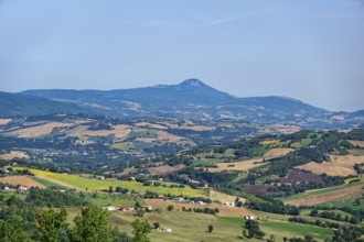 Landscape in the Marche region near San Ginesio and in the background the mountain range of the