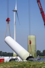 Repowering of a wind farm near Issum, here the dismantling of the tower, 9 older wind turbines from