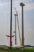 Dismantling of a wind power plant in a wind farm near Issum, 9 older wind turbines from the