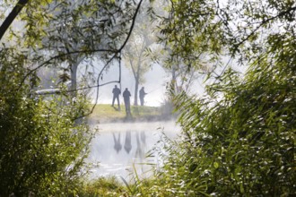 Kressler fishing pond in the morning mist, Arnstadt, Thuringia, Germany, Europe