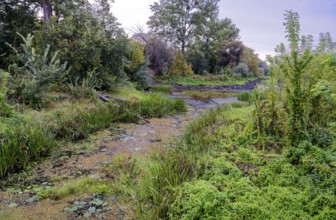 The Warta Estuary National Park, Park Narodowy Ujscie Warty, where the Warta flows into the Oder.