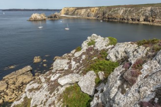 Landscape on the coast of the Iroise Sea. Camaret, Crozon, Finistere, Brittany, France, Europe