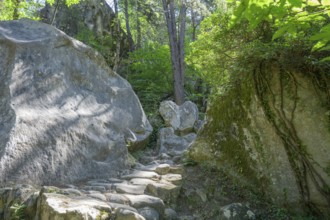 Hiking trail to the Grés d'Annot sandstone labyrinth, Alpes-de-Haute-Provence, France, Europe