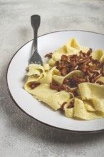 Pasta papardelle, in creamy garlic sauce, with mushrooms, traditional Italian cuisine, pasta