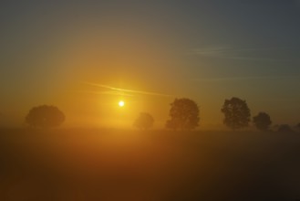 View of a landscape in the morning fog at sunrise with trees rising into the fog in autumn, Fehmarn