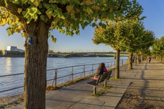 The Rhine near Bonn, the riverside promenade of Bonn-Beuel with the Kennedy Bridge in the