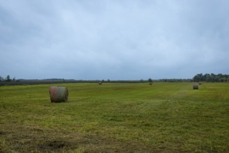 Large field with several hay bales under a wide sky, Lake Neusiedl National Park, Burgenland,