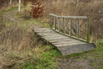 Bridge in path over stream in forest in winter in Ystad, Skåne live southern Sweden, Scandinavia