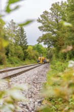 A yellow train runs on rails through an autumnal forest landscape, tamping machine, Hermann