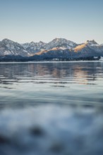 Frosty morning atmosphere during sunrise at Lake Hopfensee in the Allgäu in Bavaria, Germany,