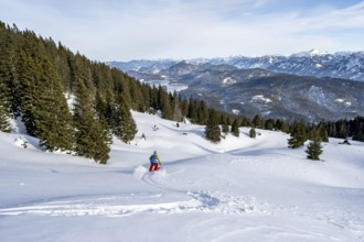 Skiers skiing down the Simetsberg, view of Walchensee and mountain panorama, Estergebirge, Bavarian