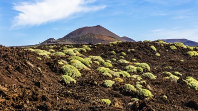 2016, Timanfaya National Park, Lanzarote, Fire Mountains of Timanfaya National Park, Montanas del