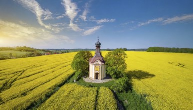 Agriculture, rape field, in full bloom, yellow, in it a small prayer chapel, aerial view, AI