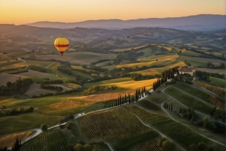 Hot air balloon drifting above undulating tuscan hills in sunsets golden light, AI generated