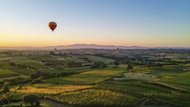 Hot air balloon drifting above undulating tuscan hills in sunsets golden light, AI generated