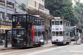 Hong Kong Tramway double-decker trams public transport at the Fortress Hill stop in Hong Kong,