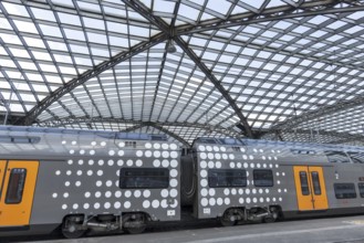 Local train and glass roof at Cologne Central Station, Cologne, Rhineland, North Rhine-Westphalia,