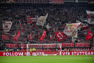 Cannstatter Kurve, fan block, fans, fan curve, flags, flags, atmosphere, atmospheric, MHPArena, MHP