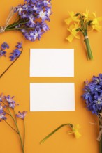 White paper business cards with spring snowdrop flowers bluebells, narcissus on orange pastel