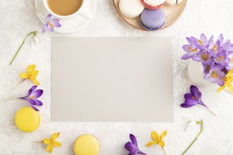 Beige paper sheet mockup with spring snowdrop crocus flowers and multicolored macaroons on gray