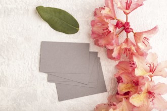 Gray business card with pink azalea flowers on gray concrete background. top view, flat lay, copy