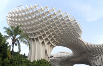 Metropol Parasol wooden structure in Plaza La Encarnación, Seville, Spain, architect Jürgen