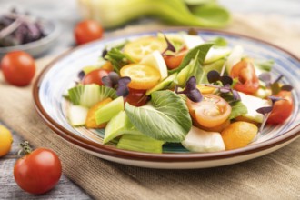 Vegetarian salad of pac choi cabbage, kiwi, tomatoes, kumquat, microgreen sprouts on gray wooden