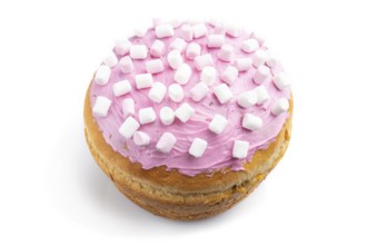 Homemade glazed and decorated pink easter pie isolated on a white background. Side view, close up