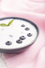 Yogurt with blueberry in ceramic bowl on gray concrete background and pink linen textile. Side