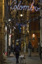 Night-time street scene in the historic city centre, Genoa, Italy, Europe