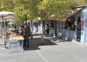 Bookseller booths and stalls, Cuesta de Moyano near Retiro Park, Madrid, Spain, Europe