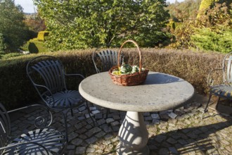 Garden furniture, stone table with a basket with decorative pumpkins. Modern landscape design with