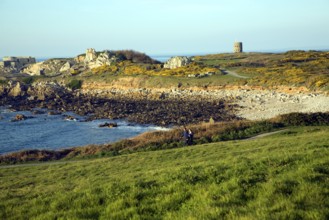 Fort le Marchant headland and loophole 'martello' tower, L'Ancresse bay Guernsey Channel Islands