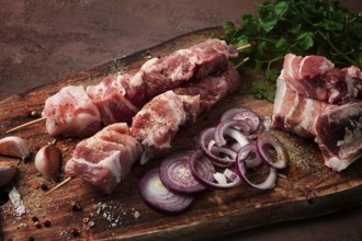 Rohes Schweinefleisch, auf Holzspießen, eingelegter Spieß, mit Gewürzen, Ansicht von oben, ohne