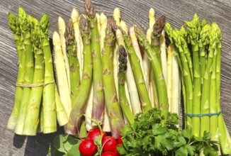 Green asparagus and white asparagus decorated on a rustic wooden table