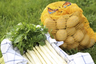 Asparagus and potatoes decorated in grass