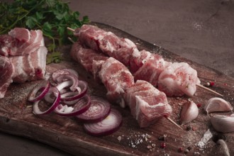 Raw pork meat, on wooden sticks, pickled kebab, with spices, top view, no people