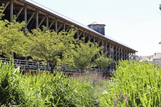 The spa gardens in Bad Dürkheim, Rhineland-Palatinate