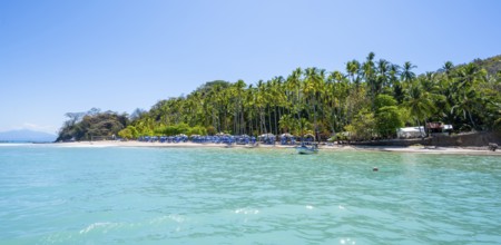 Tropical island with palm trees and turquoise blue sea, Isla Tortuga, Puntarenas province, Costa