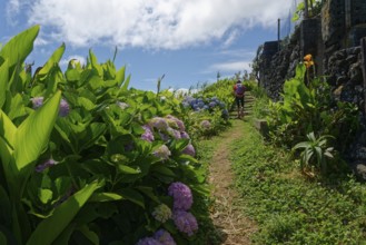 A path leads through lush green plants and flowers under a blue sky with few clouds, Miradouro do