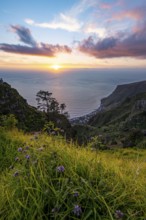 Evening mood, green coastal landscape on a steep cliff at sunset, sea and coast, viewpoint