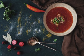 Traditional Georgian dish spicy tomato, Kharcho soup, on a dark background, no people, top view