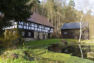 The Polenz is the right-hand, smaller source river of the Lachsbach in Saxony and flows through the