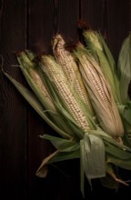 Corn cobs, on a wooden table, top view, close-up, rustic, selective focus, dairy corn