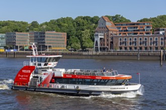 Elbe ferry, Elbe, Hamburg, Germany, Europe