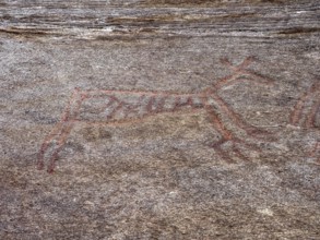 Prehistoric rock art at Bogge, petroglyphs between Eidsvåg and Eresfjord, More og Romsdal, Norway,