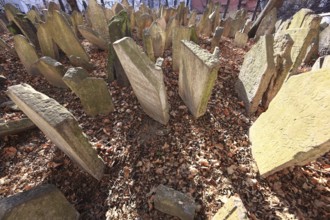 The Old Jewish Cemetery in the Josefov district is one of the most historically significant Jewish